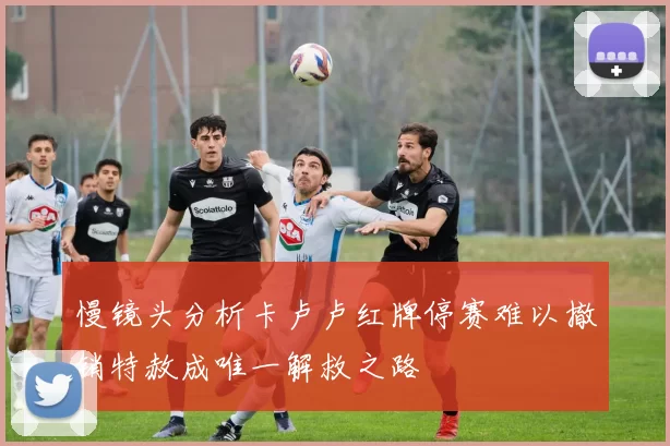 慢镜头分析卡卢卢红牌停赛难以撤销特赦成唯一解救之路